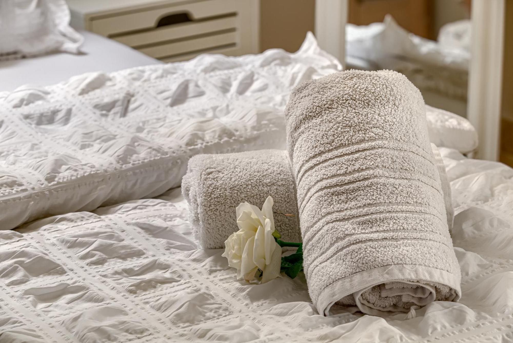 Sika Palladium Garden & Spa Central Apartment Arad Ngoại thất bức ảnh